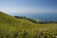 Альпийские луга Абхазии