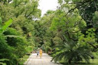 Сухумский ботанический сад Октябрь в Абхазии