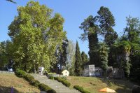 Обезьяний питомник в Сухуми