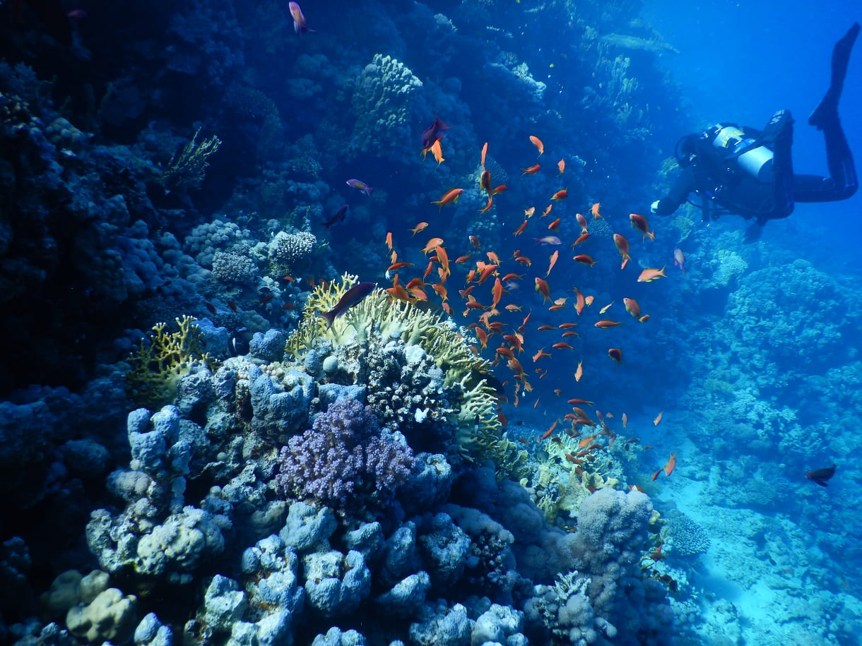 Фото 2 - Экскурсия: Фото 2 - Экскурсия: