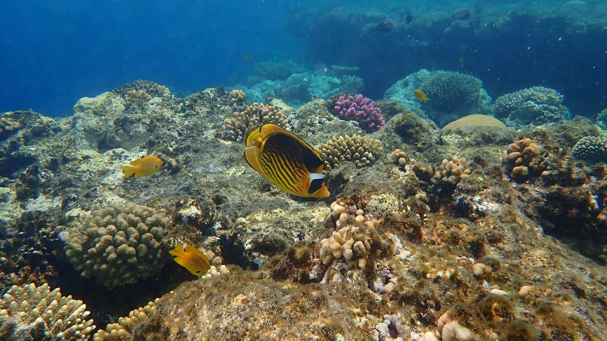 Фото 2 - Экскурсия: Фото 2 - Экскурсия: