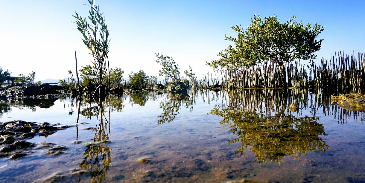 Фото 3 - Экскурсия: Фото 3 - Экскурсия: