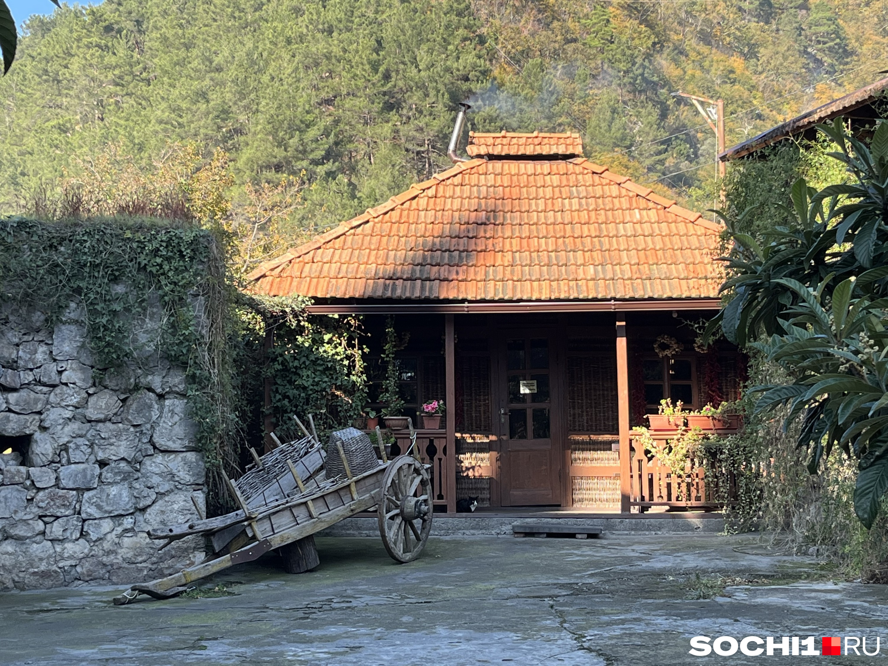 Так выглядит традиционная абхазская апацха Так выглядит традиционная абхазская апацха