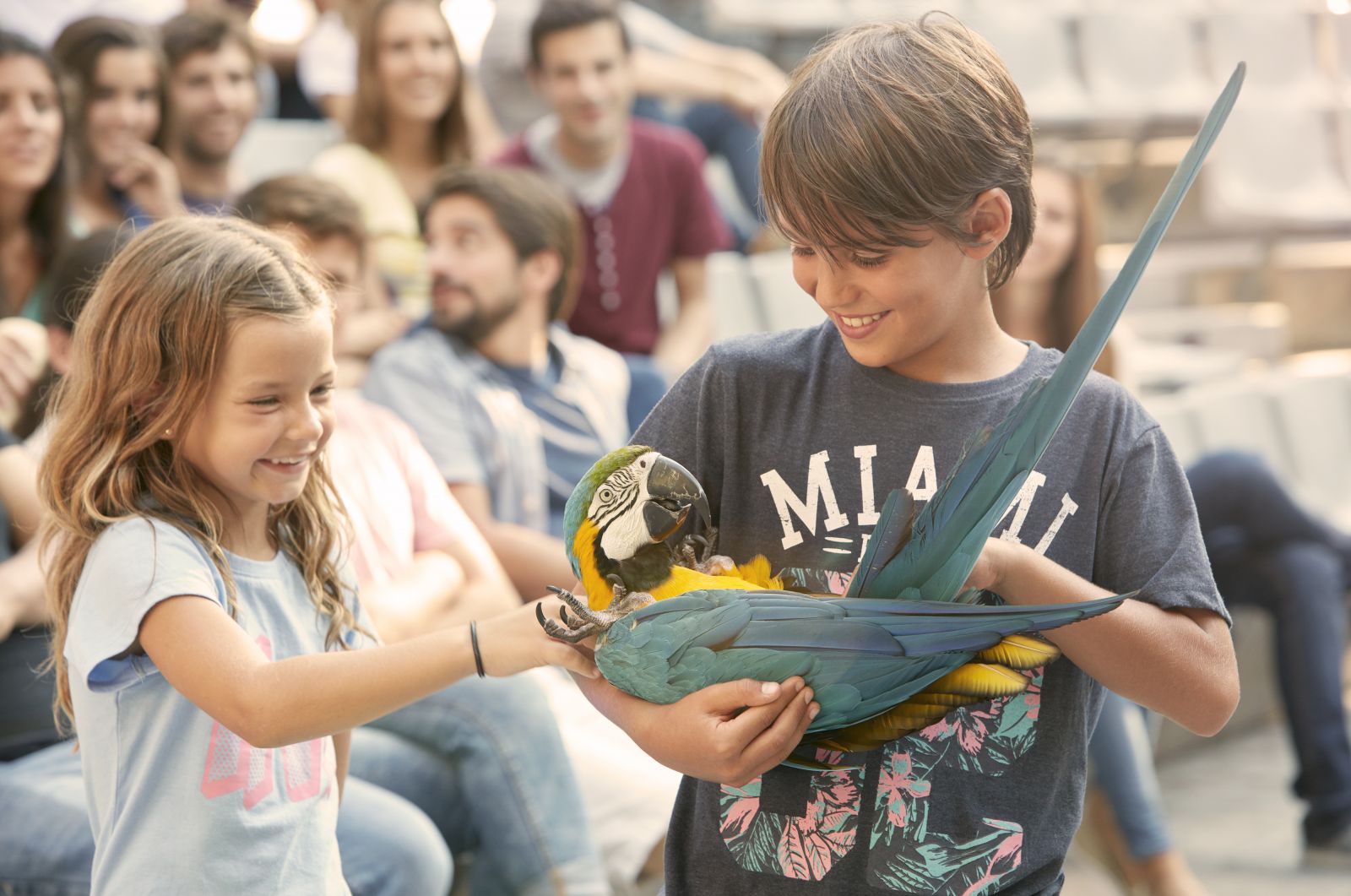 Диснейленд: где находится в мире, страны, список лучших