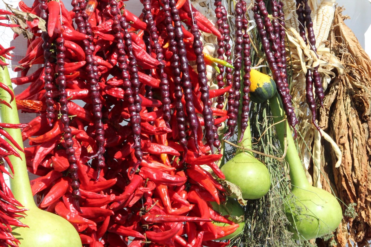 Что попробовать в Абхазии