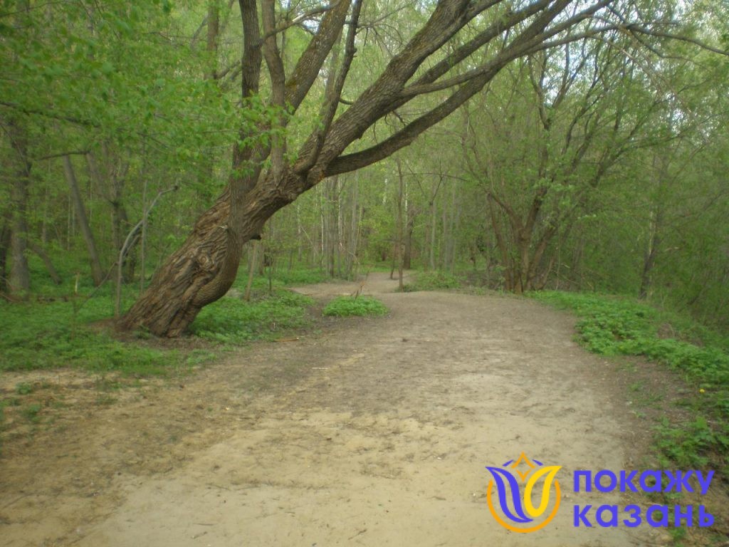 дорога на озера