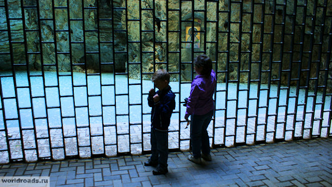 Провал Пятигорск