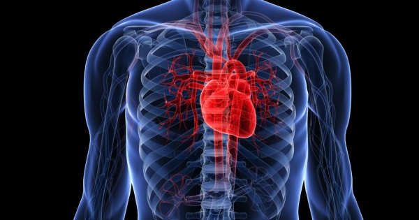 Термальные источники Кисловодска. Фото с описанием, где можно купаться, как добраться