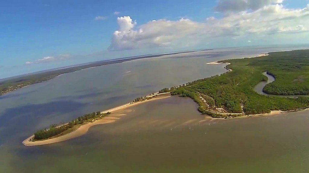 Арафурское