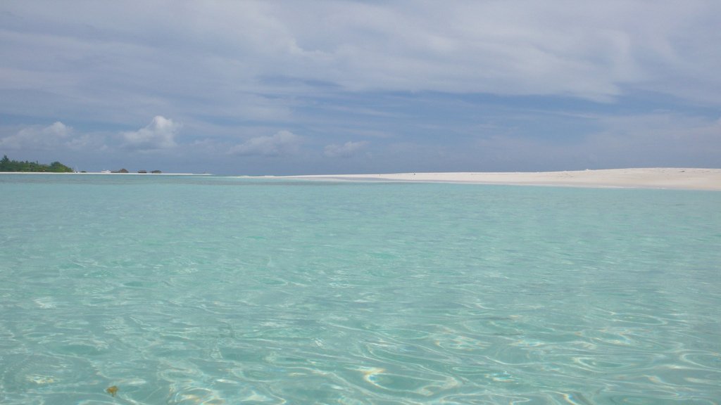 Лаккадивское