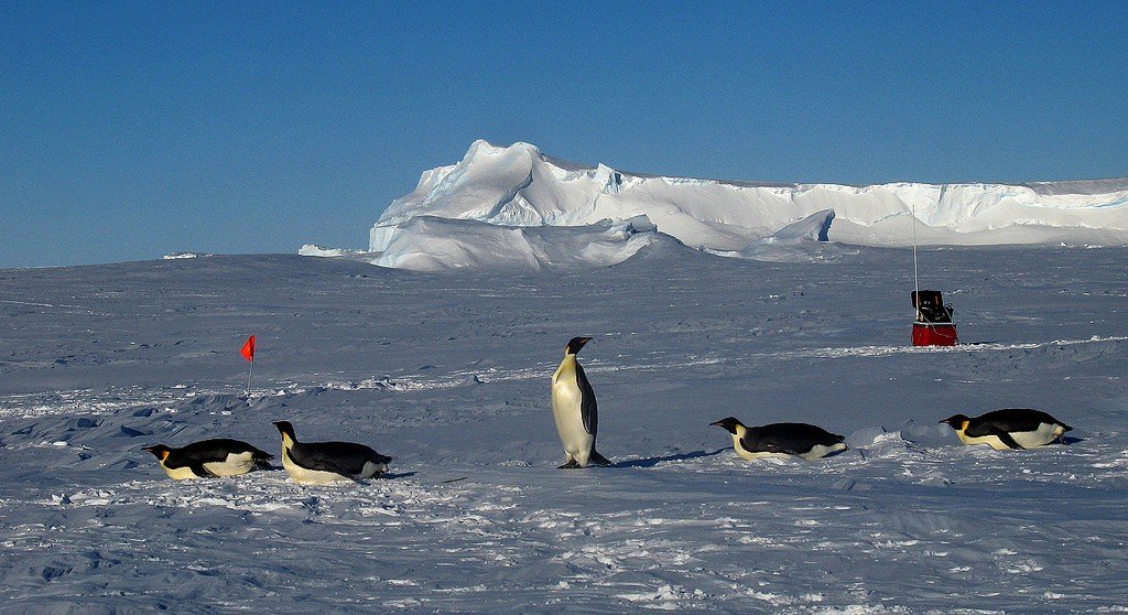 Рисер-Ларсена