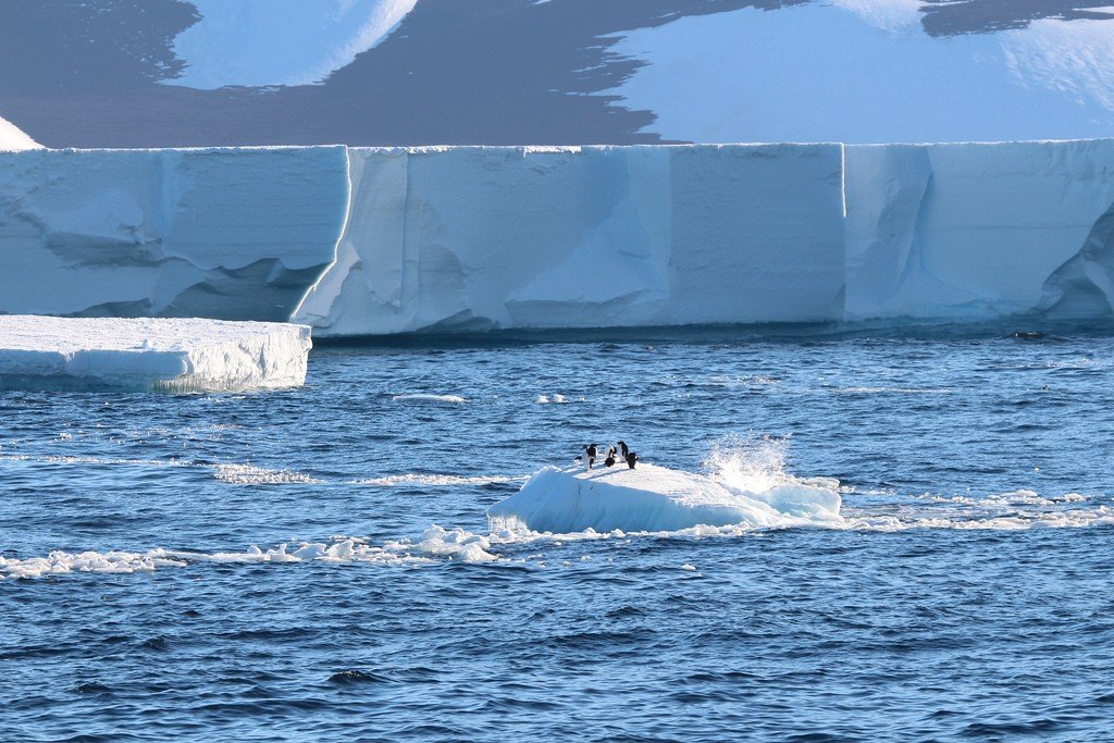 Содружества