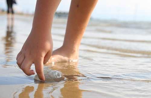 Медузы черного моря: чем питаются, сколько живут, ядовитые и опасные виды для человека, описание, можно ли их есть