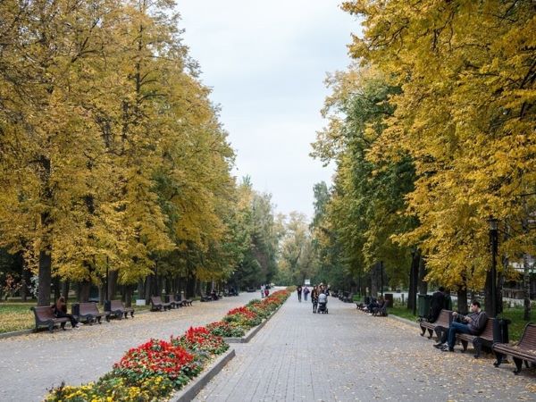 Центральный парк имени Горького в Казани: вся нужная информация для хорошей прогулки