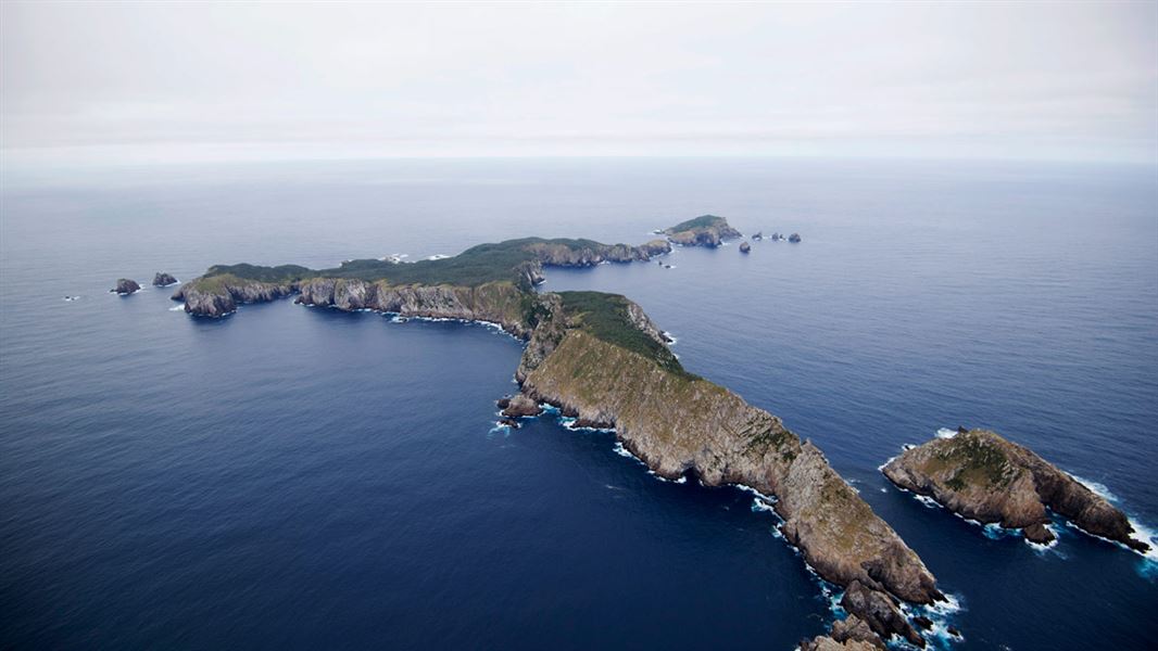 Красное море: почему оно так называется, солёность водоёма, обитатели, характеристики, климат, интересные факты