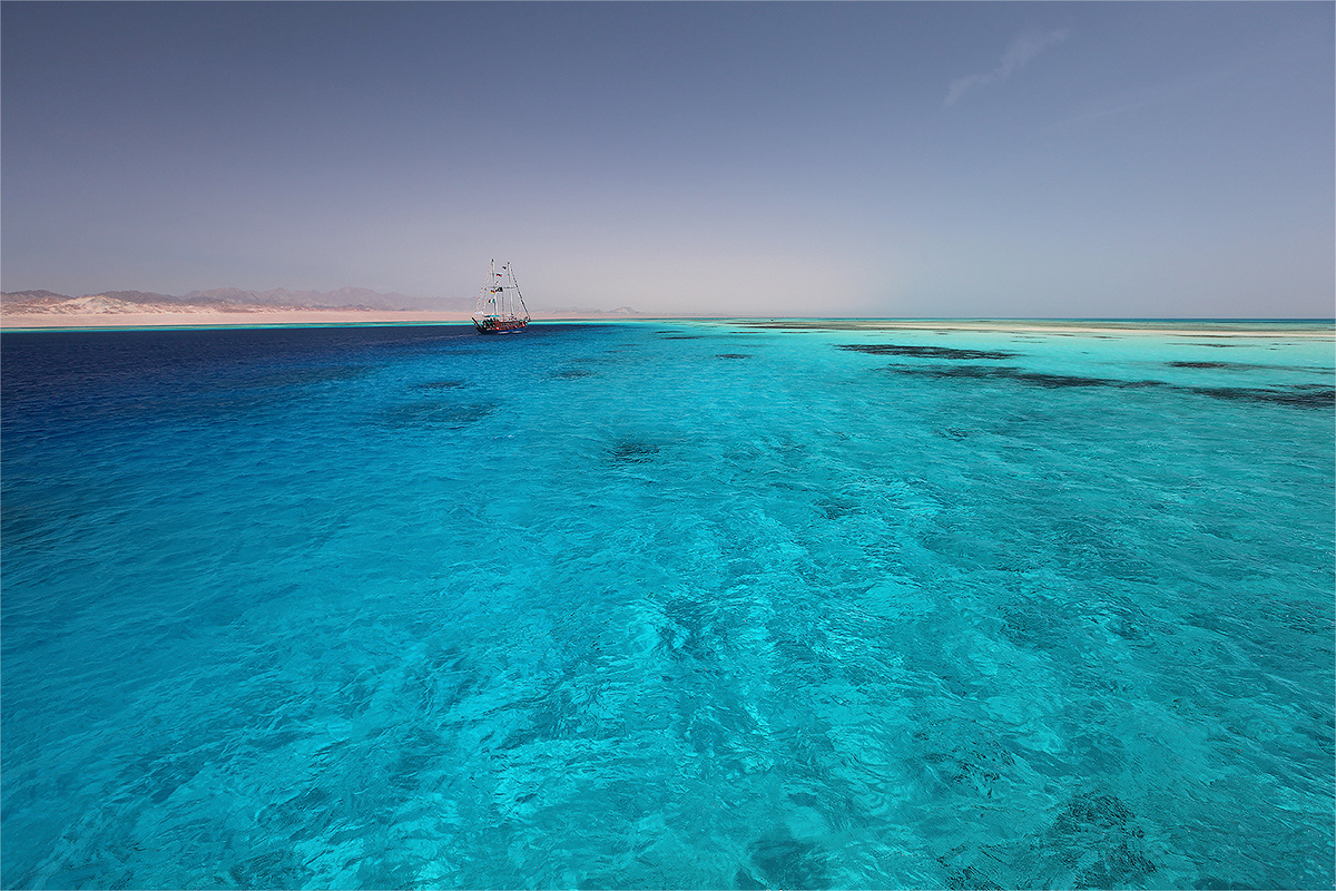 Красное море: почему оно так называется, солёность водоёма, обитатели, характеристики, климат, интересные факты