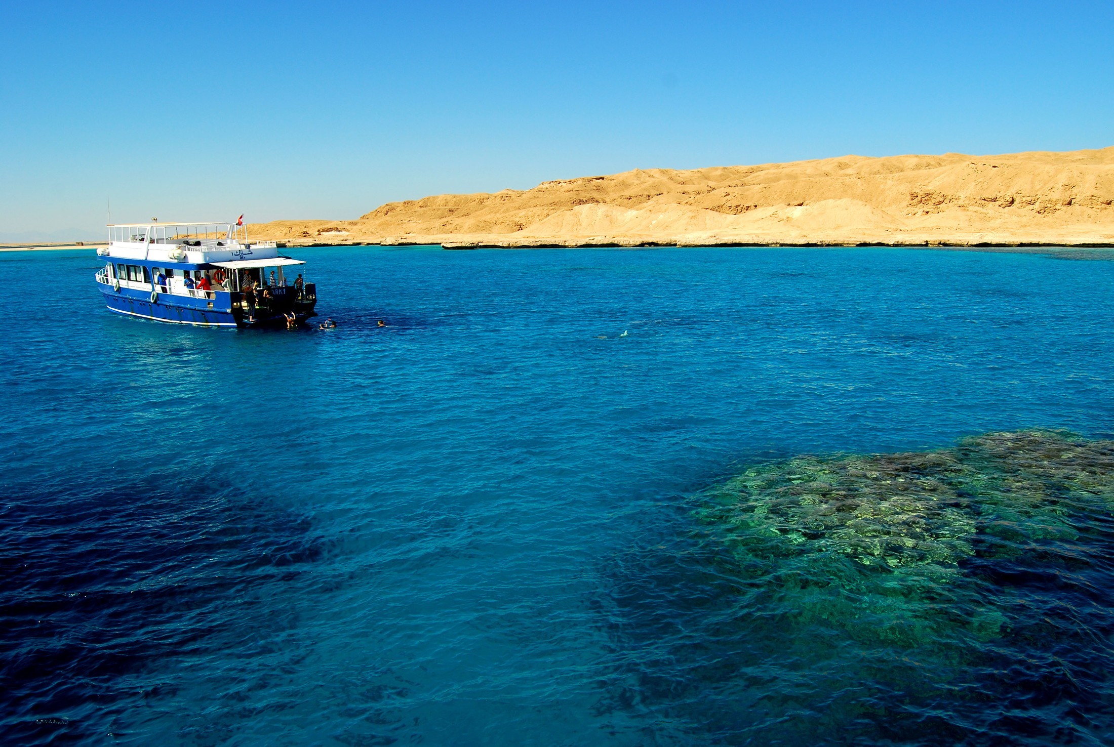 Красное море: почему оно так называется, солёность водоёма, обитатели, характеристики, климат, интересные факты