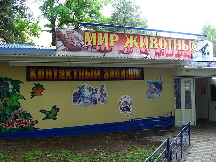Зоопарк «Мир животных» в Анапе: цены, фото, адрес, как добраться