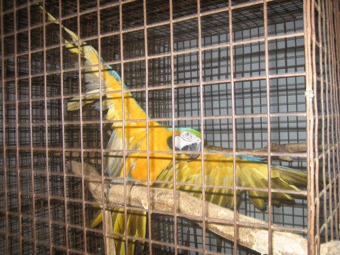 Зоопарк «Мир животных» в Анапе: цены, фото, адрес, как добраться