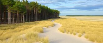 Куршская коса: песчаные дюны и танцующий лес