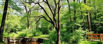 Отдых в Кисловодске летом: парки, источники, велодорожки