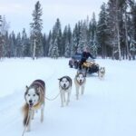 Отдых в Карелии зимой: лыжи, снегоходы, хаски