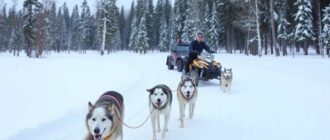 Отдых в Карелии зимой: лыжи, снегоходы, хаски