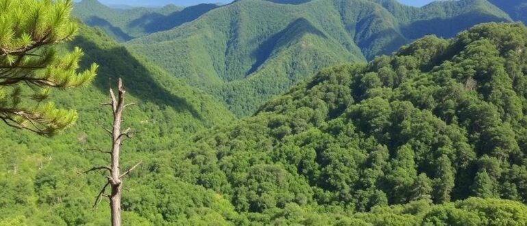 Национальный парк Таганай: маршруты и виды — путеводитель по уральской скалистой памяти